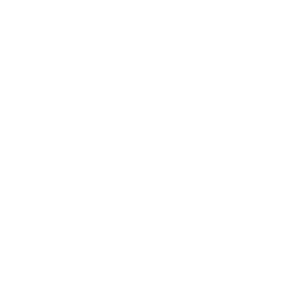 ECHO Protocol Logo